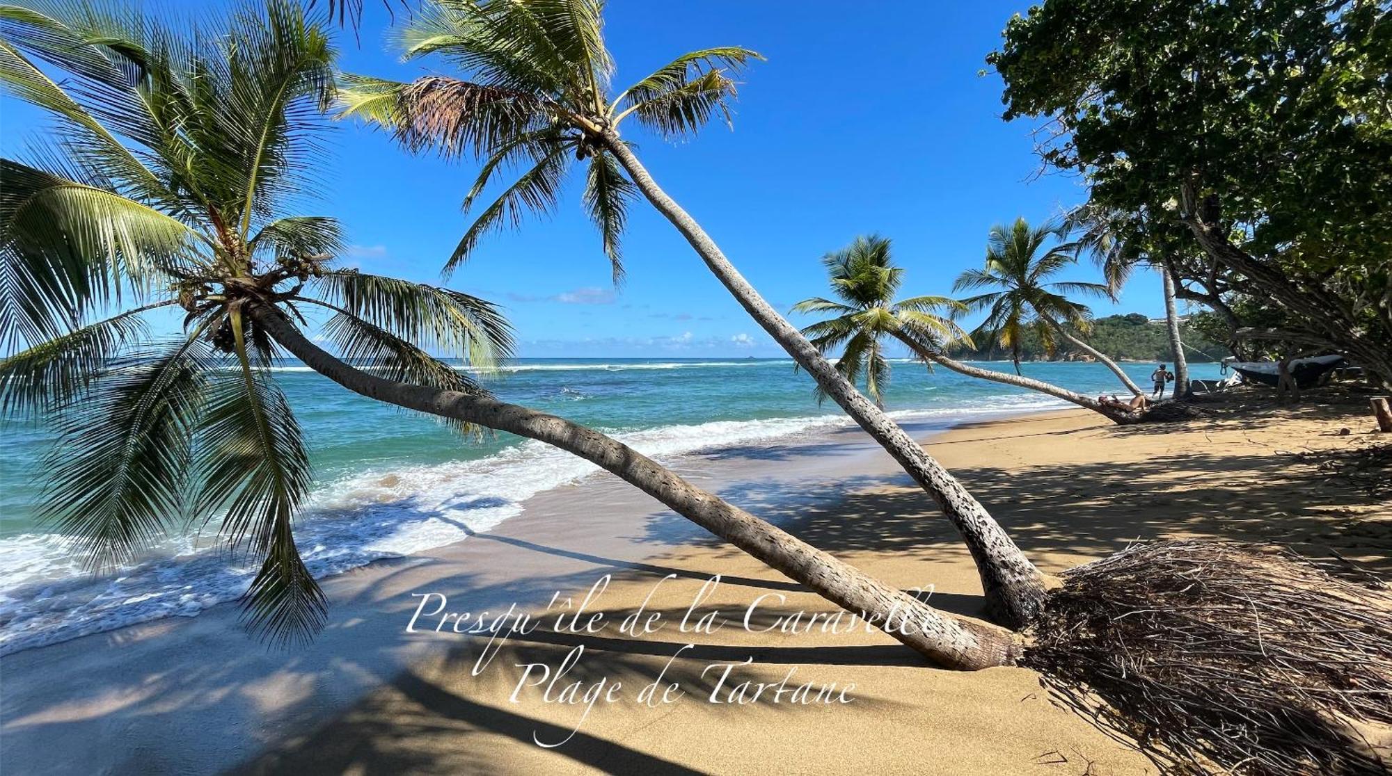 Les Bungalows De La Plage La Trinité Kültér fotó